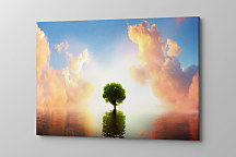 Obraz Strom života zs1193